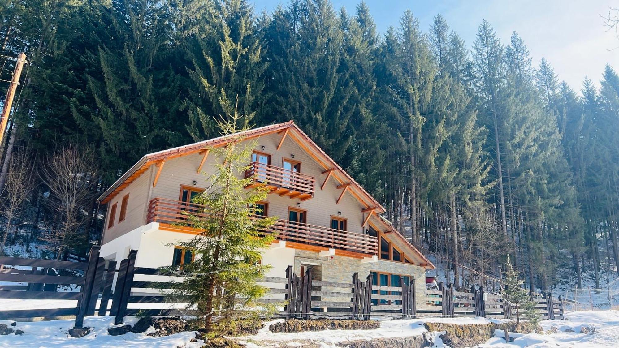 Chiba Chalet Timisu de Jos Exterior photo